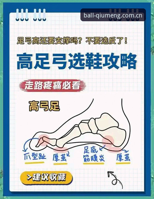 球盟会平台深度评测：从入门到精通，老用户教你避开这些坑